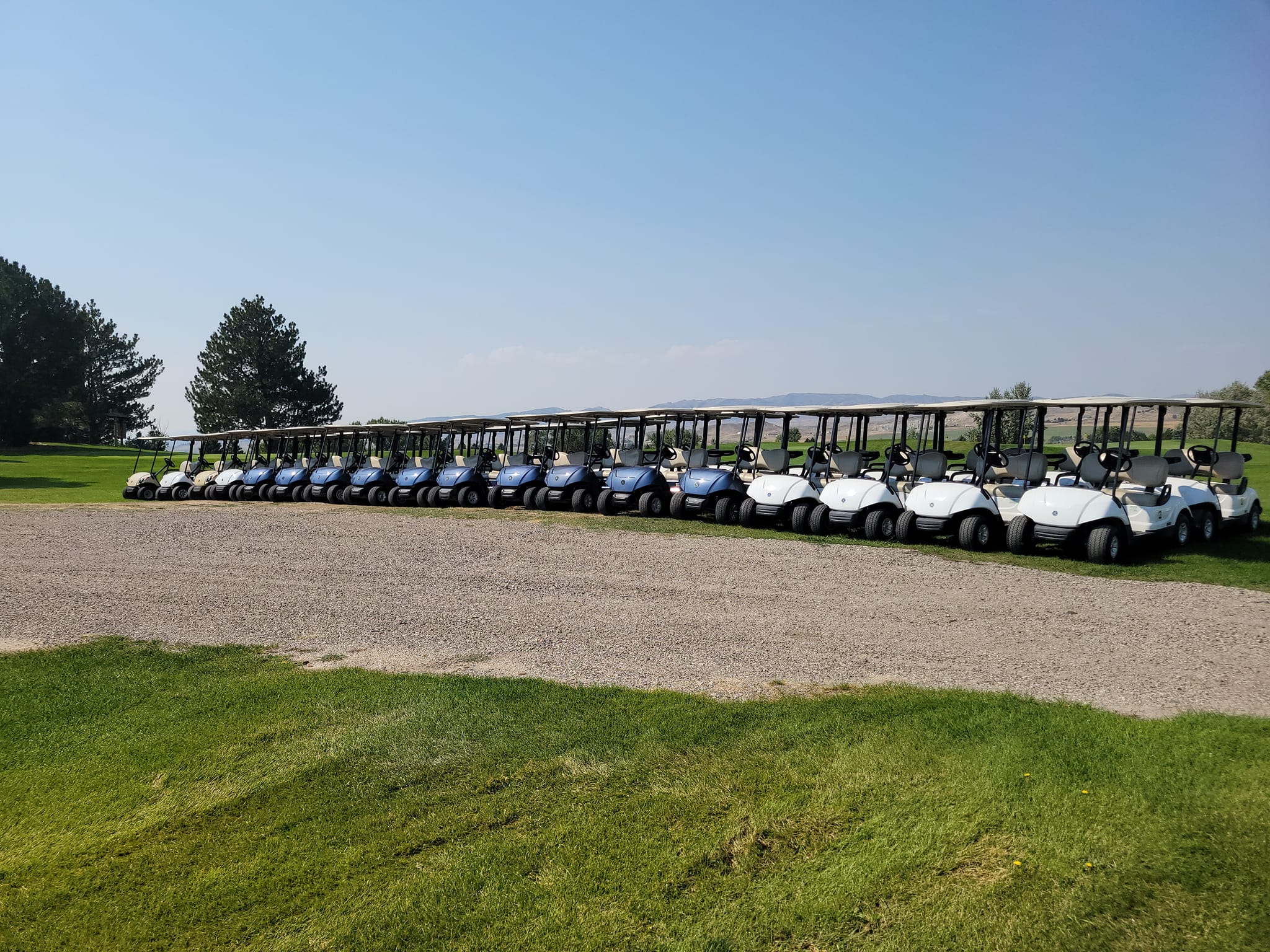 GOLF CARS